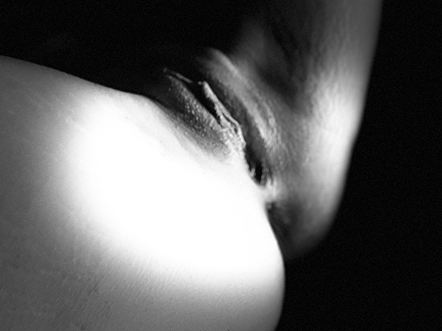 Evangeliner's Profil - Bild n°53