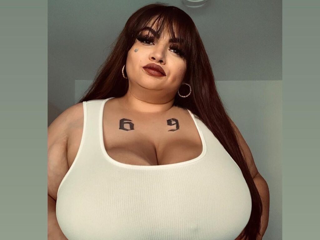 Evaroll's profile - Image n°0