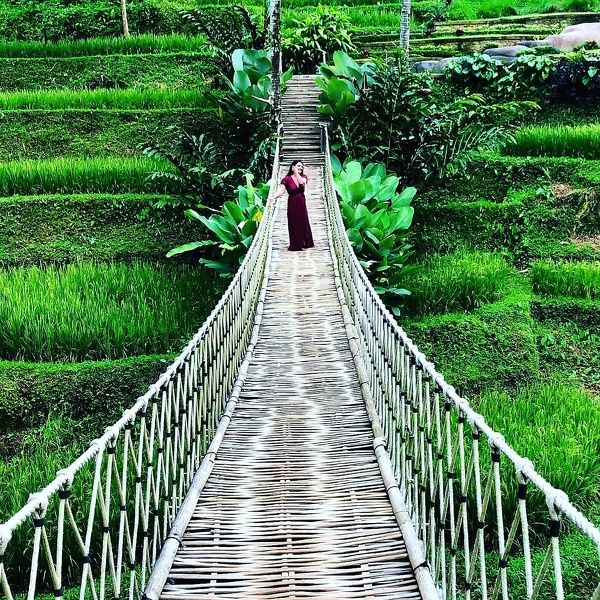 FantasyLissa's profile - Image n°6