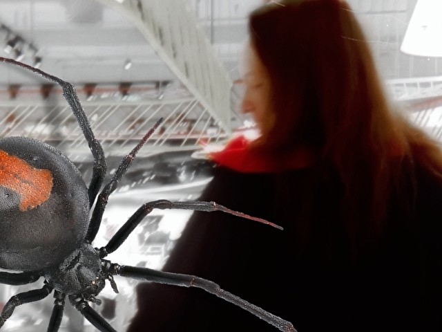 LADYFETISCH's profiel - Afbeelding n°80