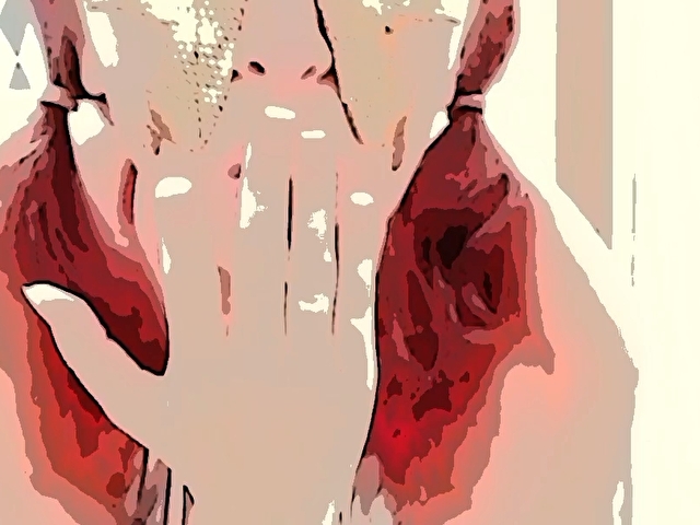 LADYFETISCH' profilo - Immagine n°1