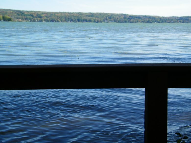 flower72's profile - Image n°23