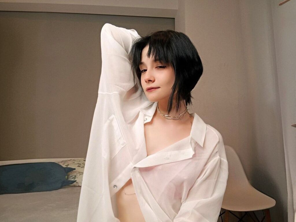 Freddaferdinand's profiel - Afbeelding n°0