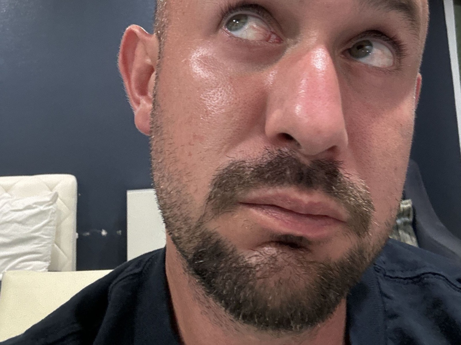 Profil de Geoluster - Photo n°0