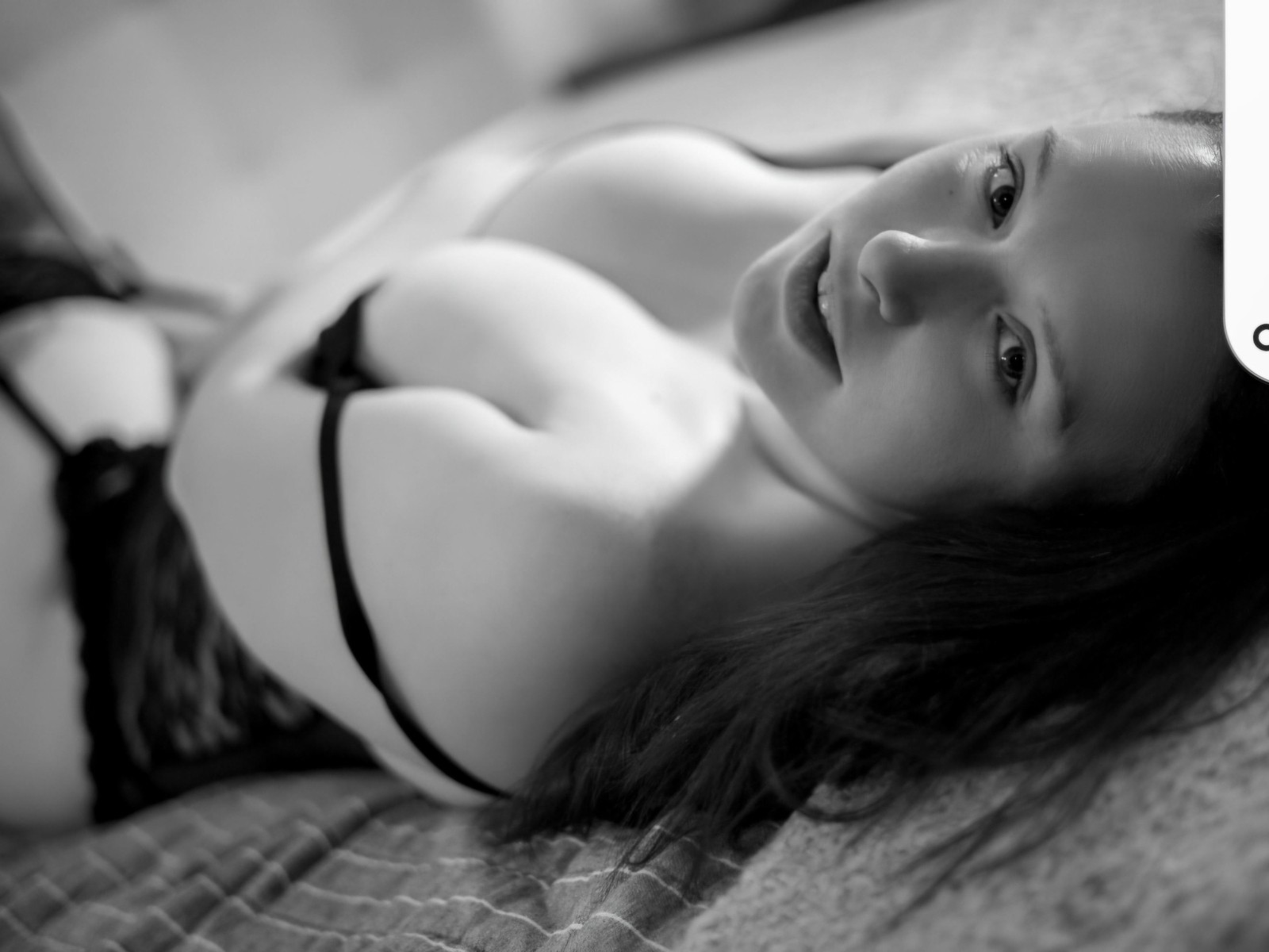 Profil de Gingersnapgem - Photo n°1