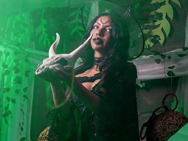 Perfil con Vanelietalov - Imagen  n°3