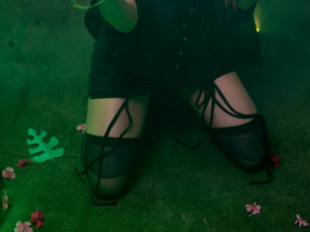 Perfil con Vanelietalov - Imagen  n°5