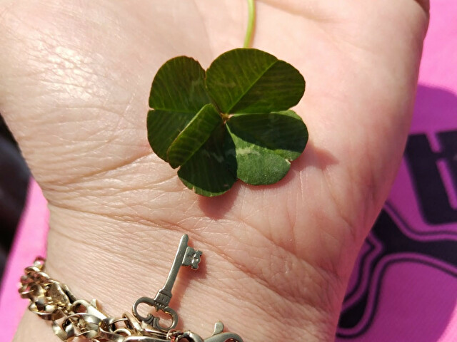 GodessUniq's profile - Image n°16