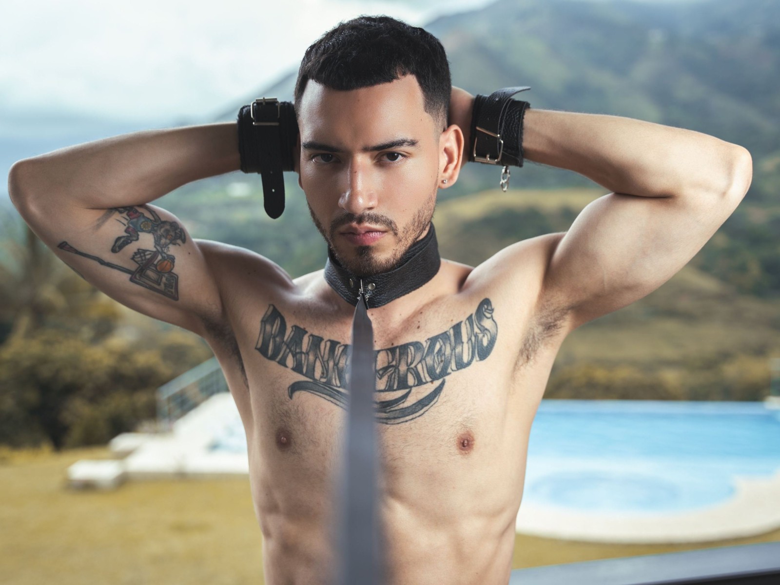 Gustavojofiel's Profil - Bild n°1