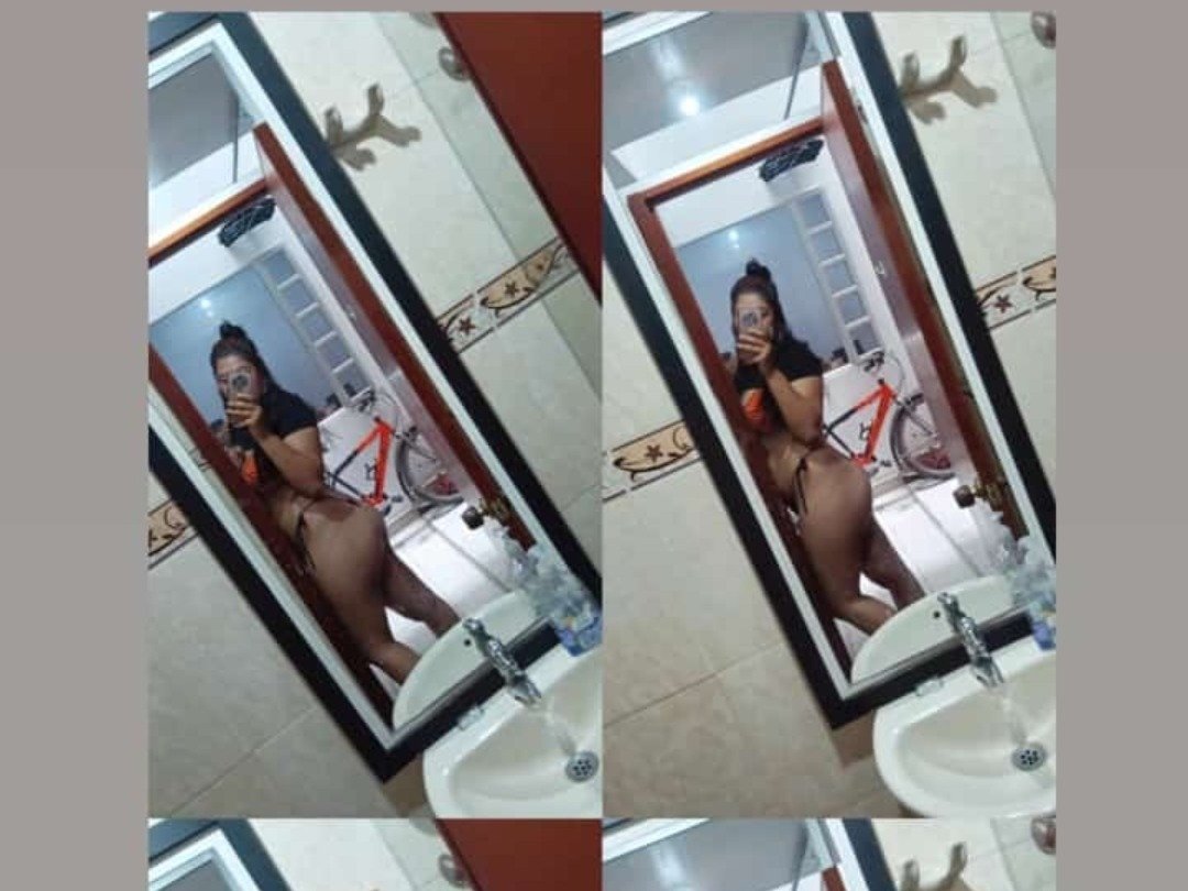 Hammy_Steve' profilo - Immagine n°0