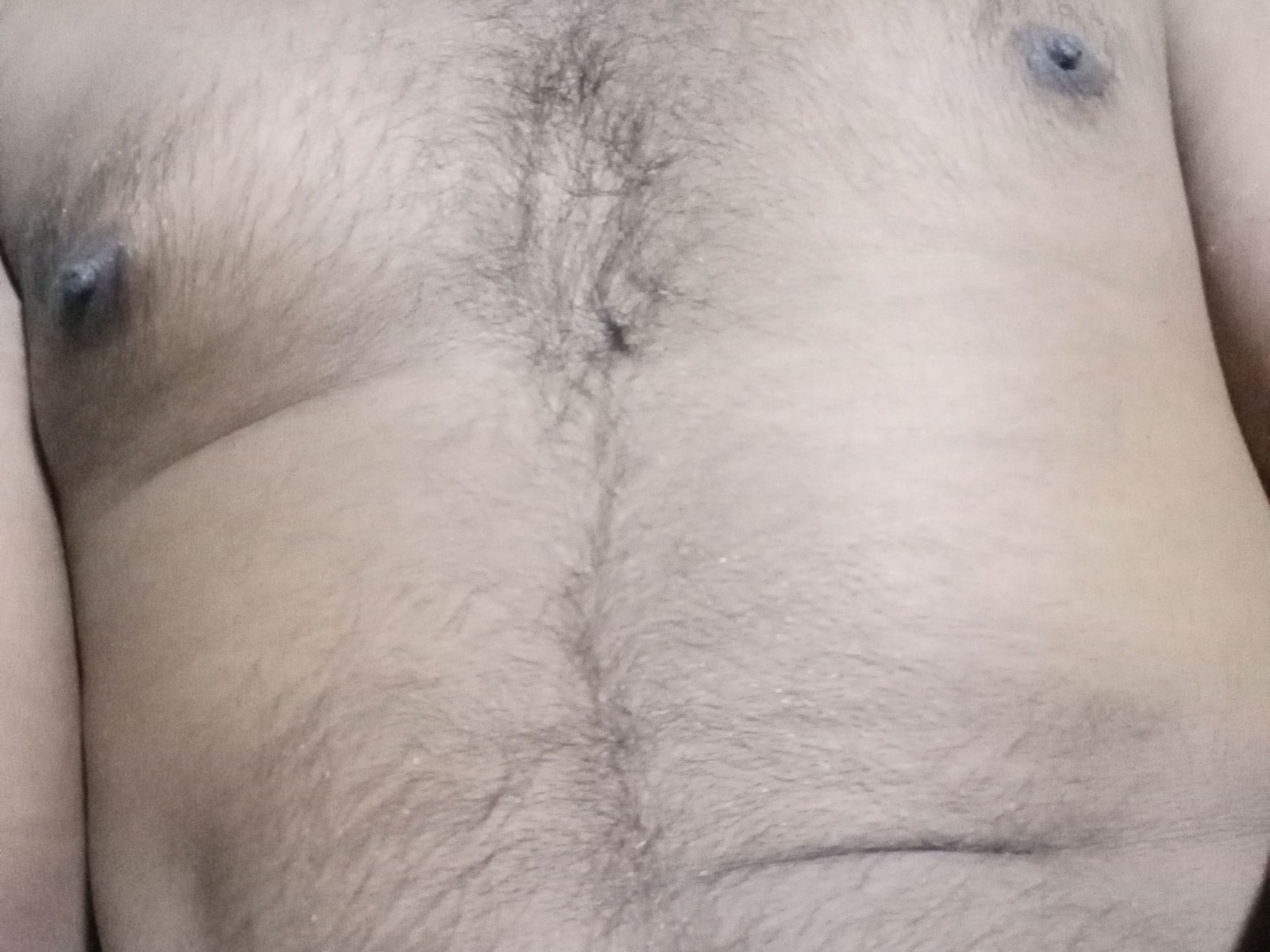 Hamstertools's profile - Image n°1