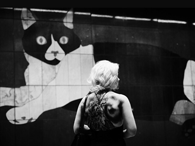 Hannahvivid's profile - Image n°0