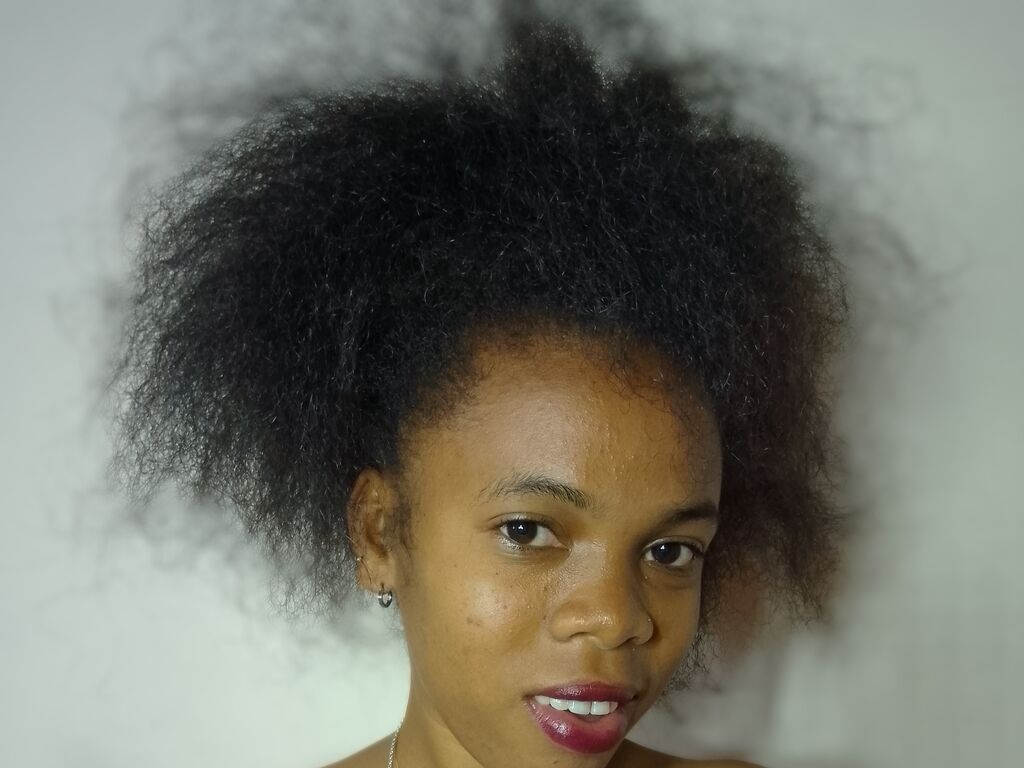 Perfil con Hantavergenie - Imagen  n°1