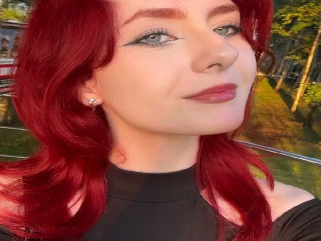 Perfil con Hieditingstrom - Imagen  n°1