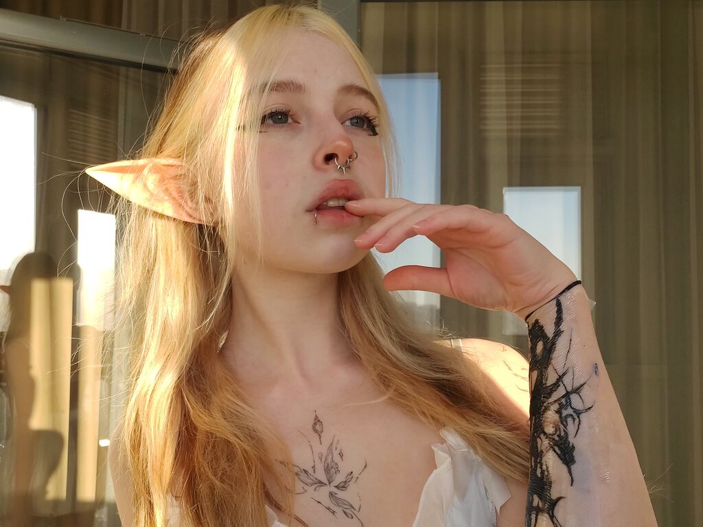 Hilddryer's profile - Image n°1