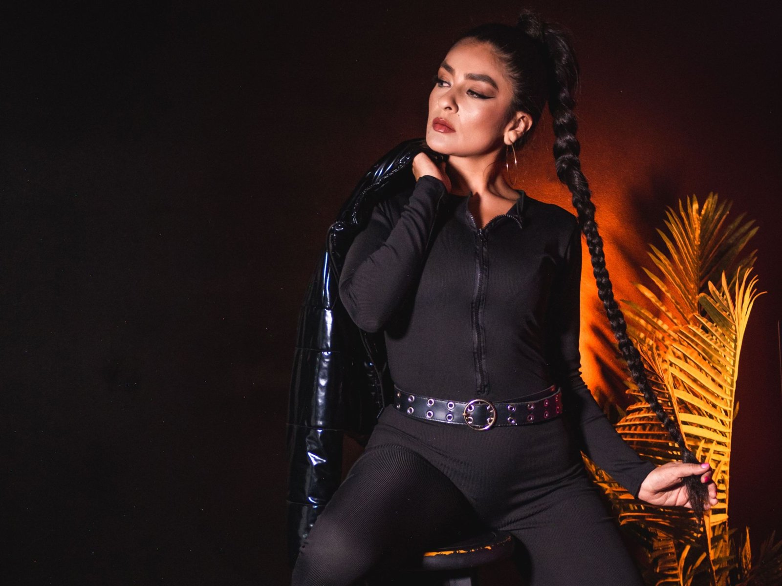 Perfil con Hollybrensone - Imagen  n°12