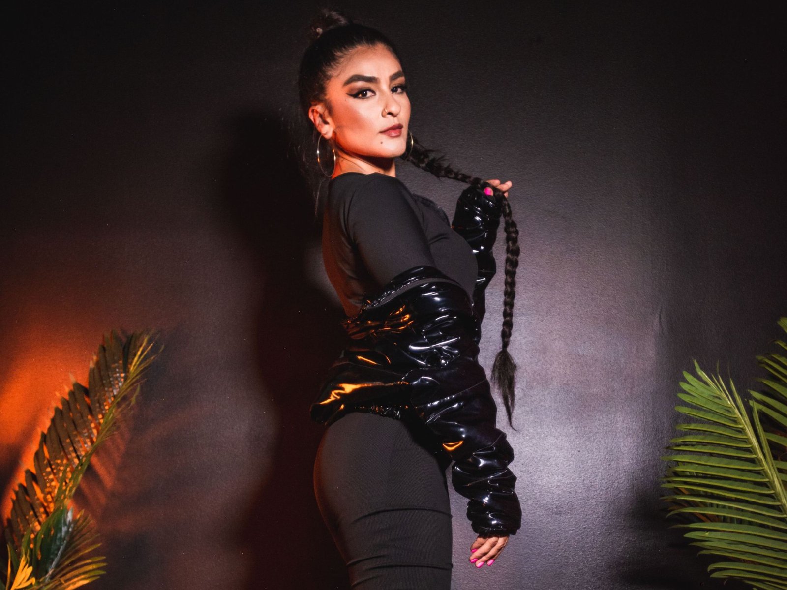 Perfil con Hollybrensone - Imagen  n°10