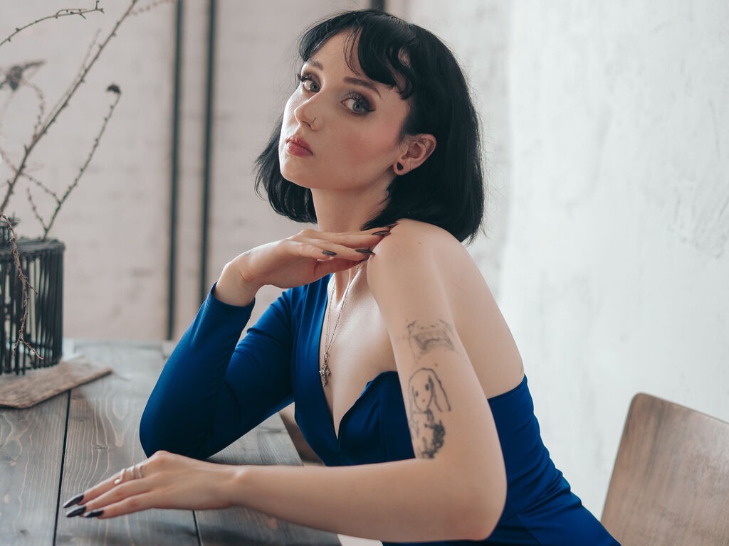 Hollyvexer's profiel - Afbeelding n°1