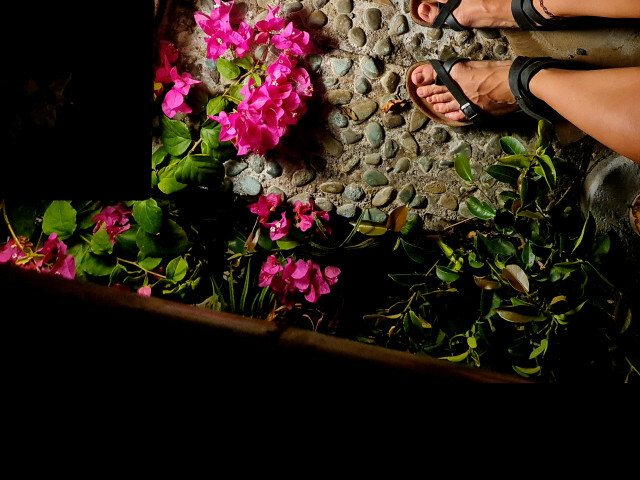 DomiRobbie's Profil - Bild n°8