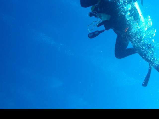 DomiRobbie's Profil - Bild n°5