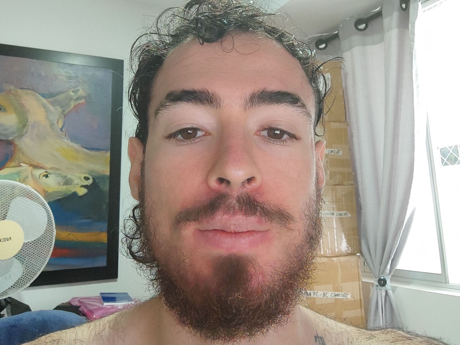 Hombreosocerdo's profile - Image n°0