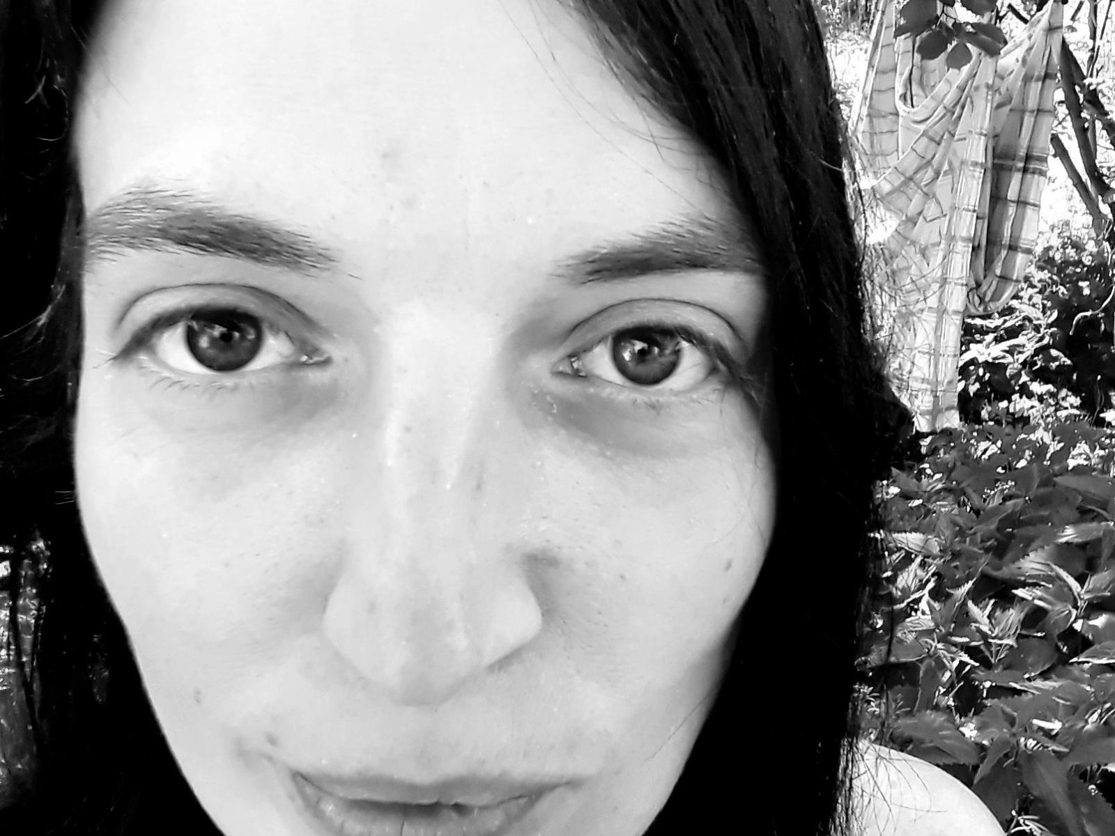 Profil de Homelady - Photo n°0