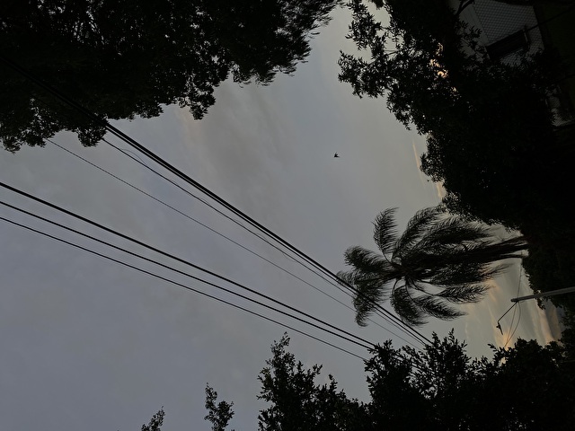 Iamlau's profiel - Afbeelding n°39