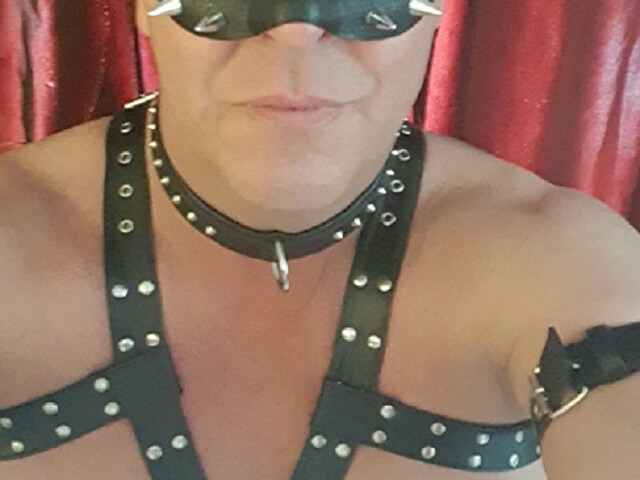 Imagine' profilo - Immagine n°13