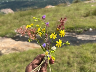 Sexo por webcam con Indianboy8940