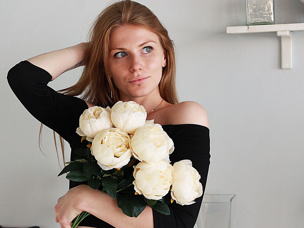 Perfil con Innacollins - Imagen  n°1