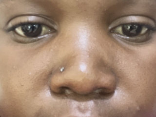 Ivonwonders's Sexcam