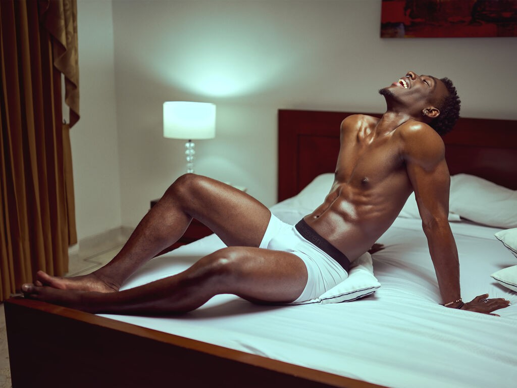 Janstallion's profile - Image n°0