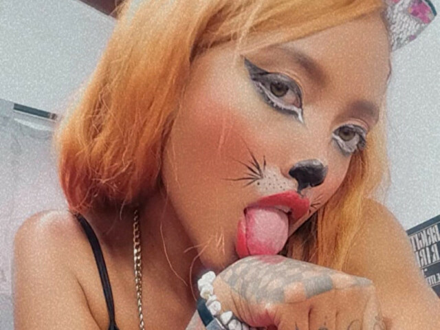 Jazmiller's profiel - Afbeelding n°56