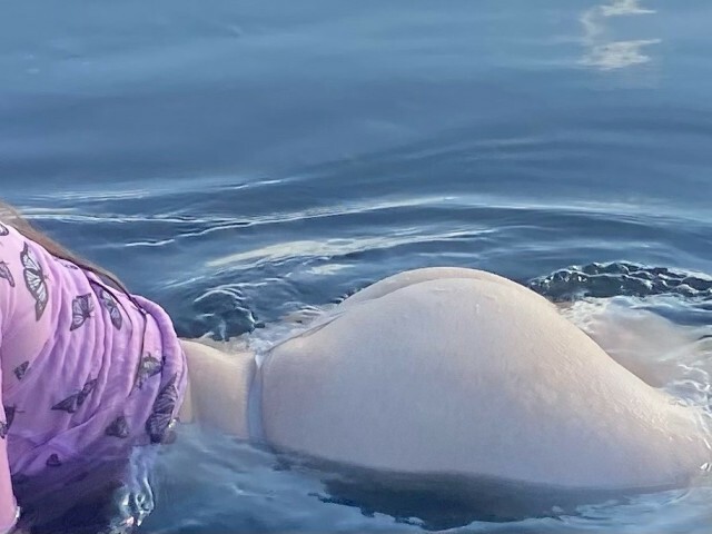 jigglypuff's profiel - Afbeelding n°7