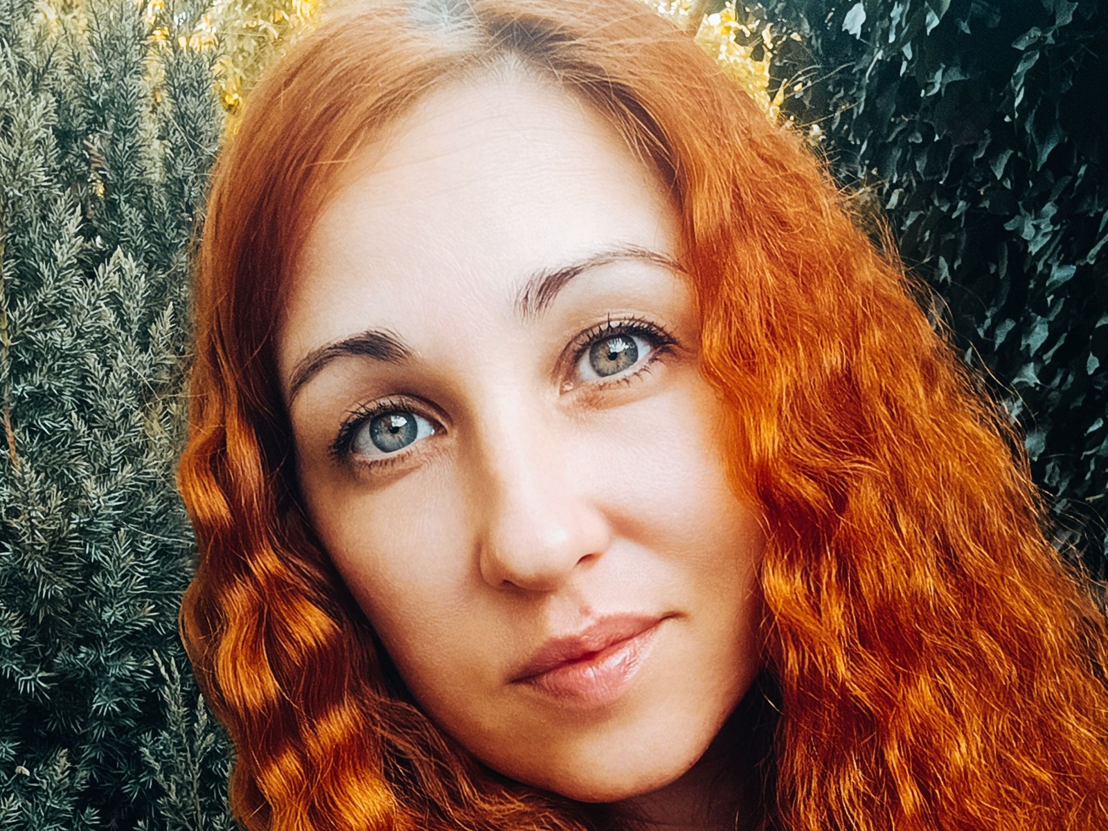 Jill_Stevens's profile - Image n°0