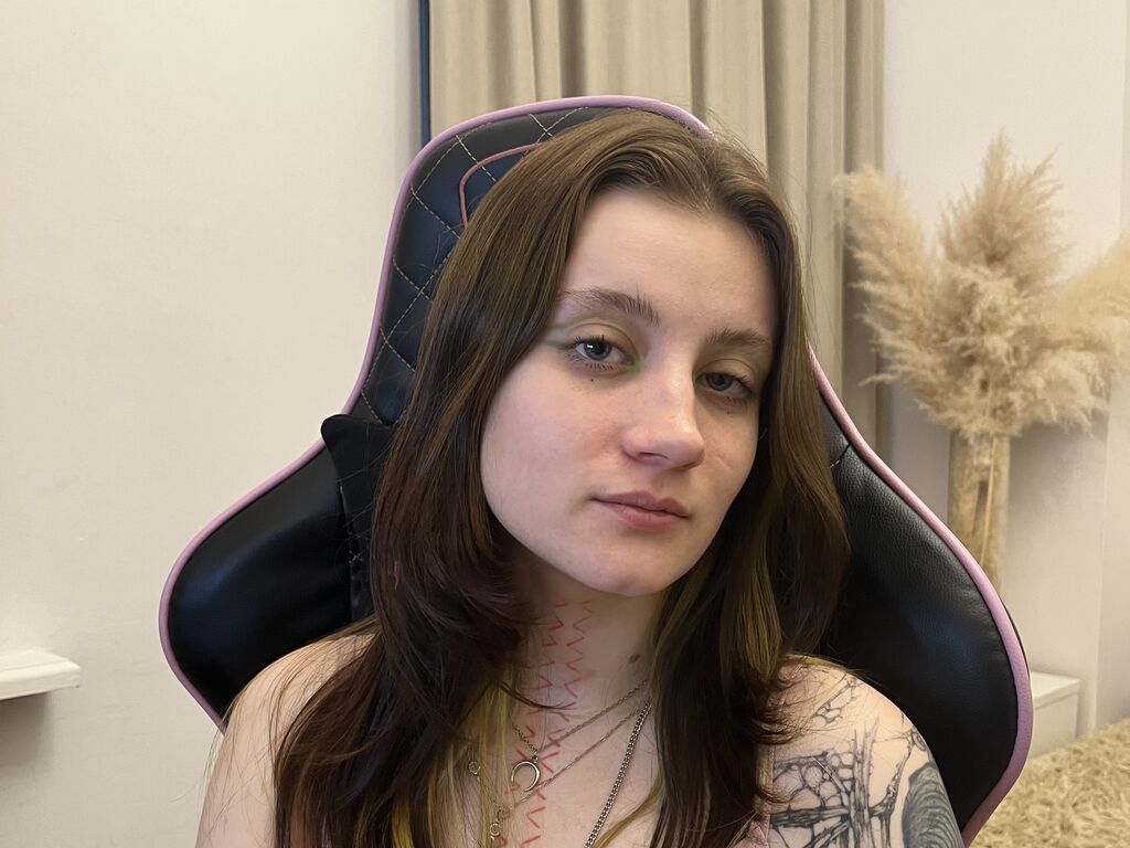 Jollyfox's profile - Image n°0