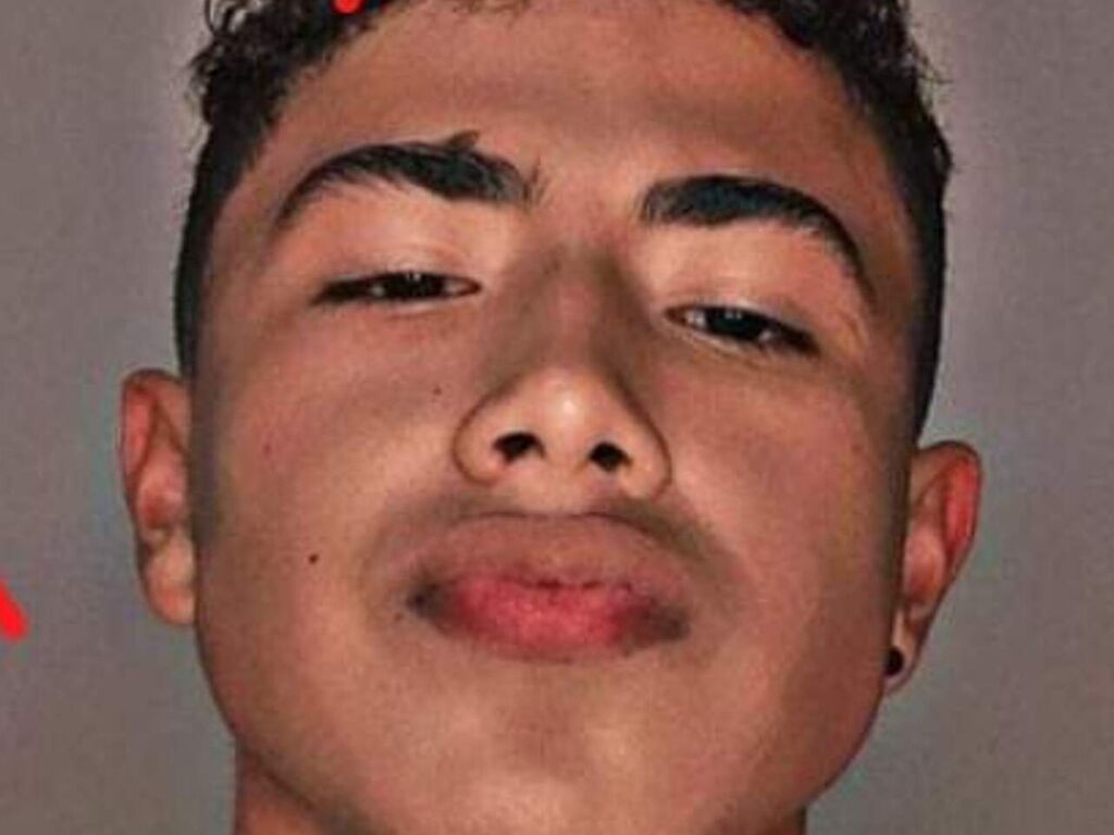 Julianpedrozo's profile - Image n°0