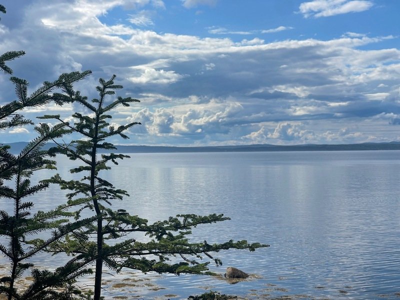 Juniperplay' profilo - Immagine n°1