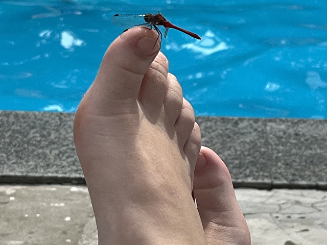 Karinadoll's Profil - Bild n°7