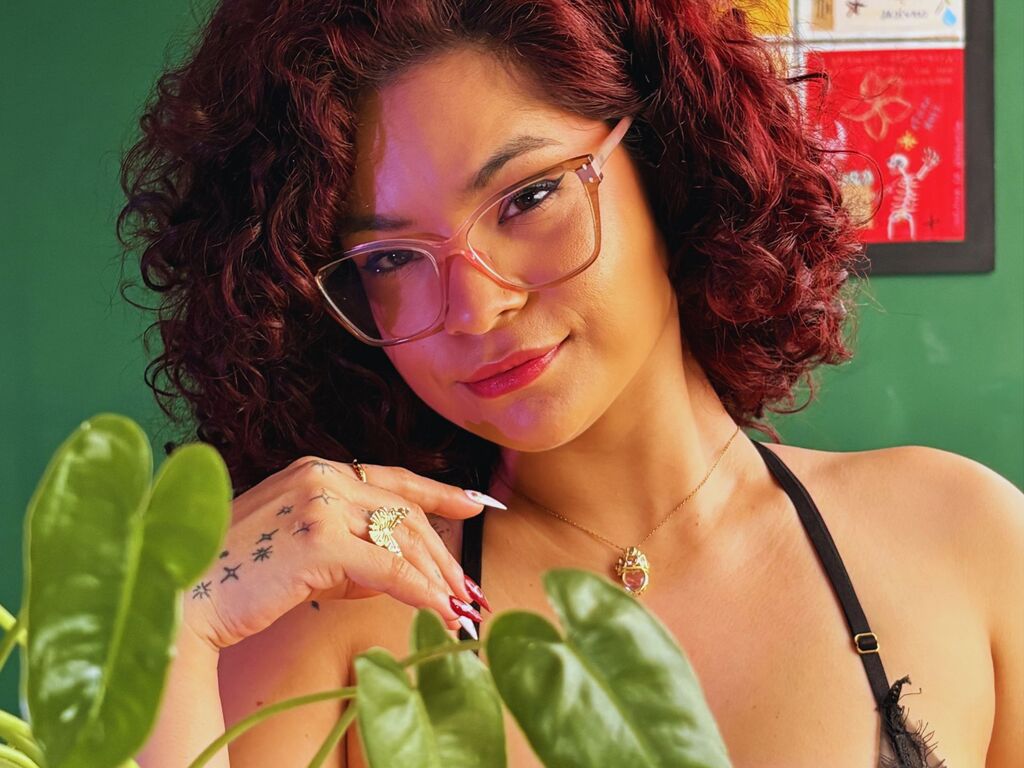 Perfil con Kasiahill - Imagen  n°2