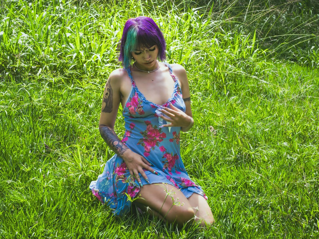 Perfil con Kimwexler - Imagen  n°3