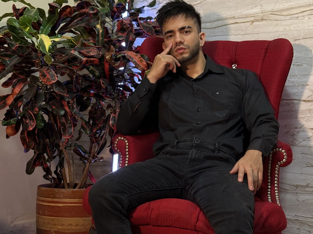 Kingdraven's profiel - Afbeelding n°1