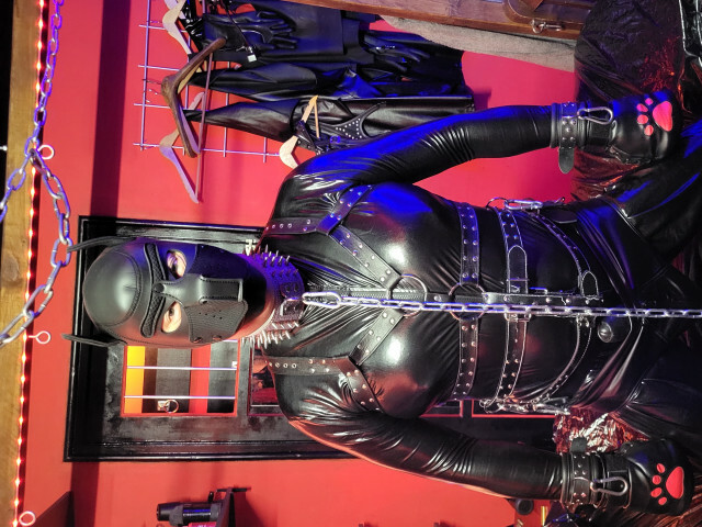 kinkyshow's profiel - Afbeelding n°26