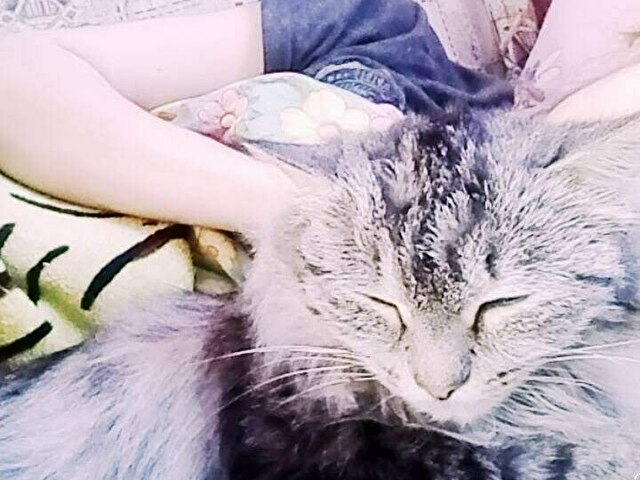 Kiraexxy's Profil - Bild n°14