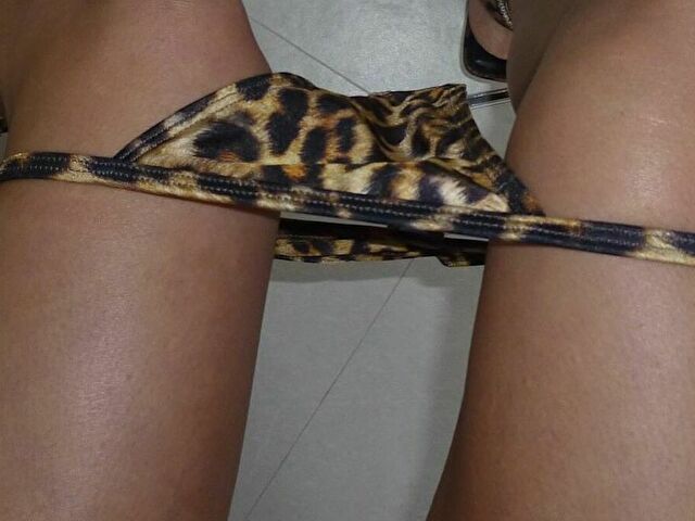 Perfil con KisaModel - Imagen  n°11