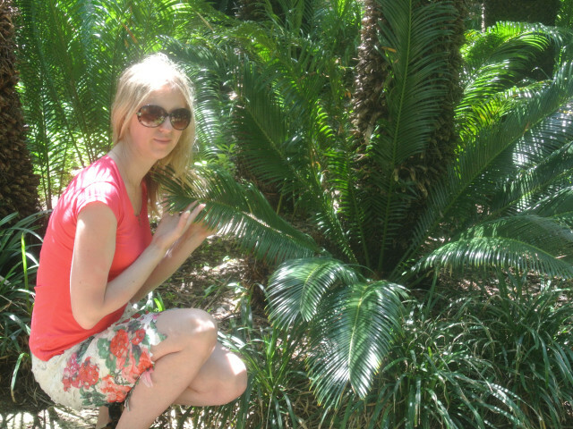 Sunset's profiel - Afbeelding n°5