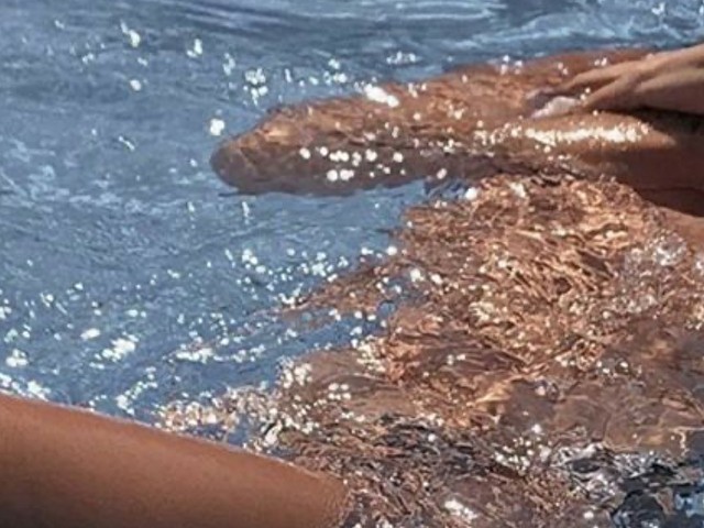 Kitanajames's Profil - Bild n°32