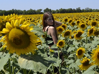 Live Sex Kitti2023