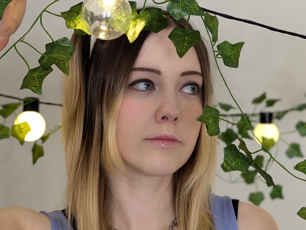 Kyllewill's profile - Image n°0