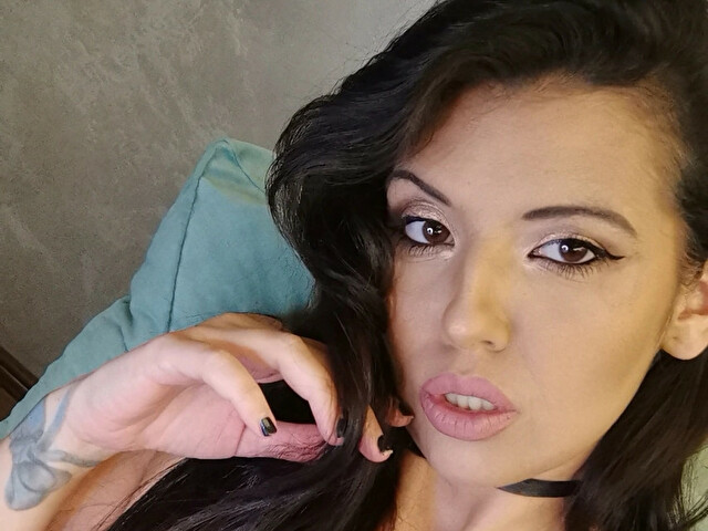 Perfil con Kyoto - Imagen  n°8